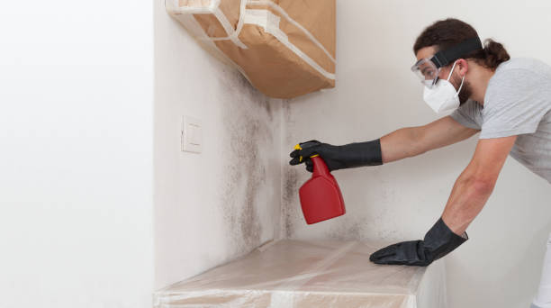Professional Attic Mold Remediation technician working in West Decatur, PA