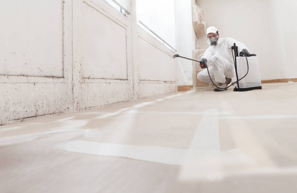 24/7 Emergency Attic Mold Remediation experts in West Decatur, PA