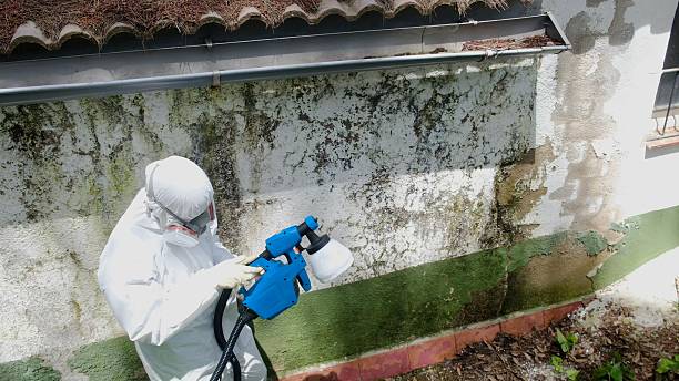 Top rated local Attic Mold Remediation specialists in West Decatur, PA
